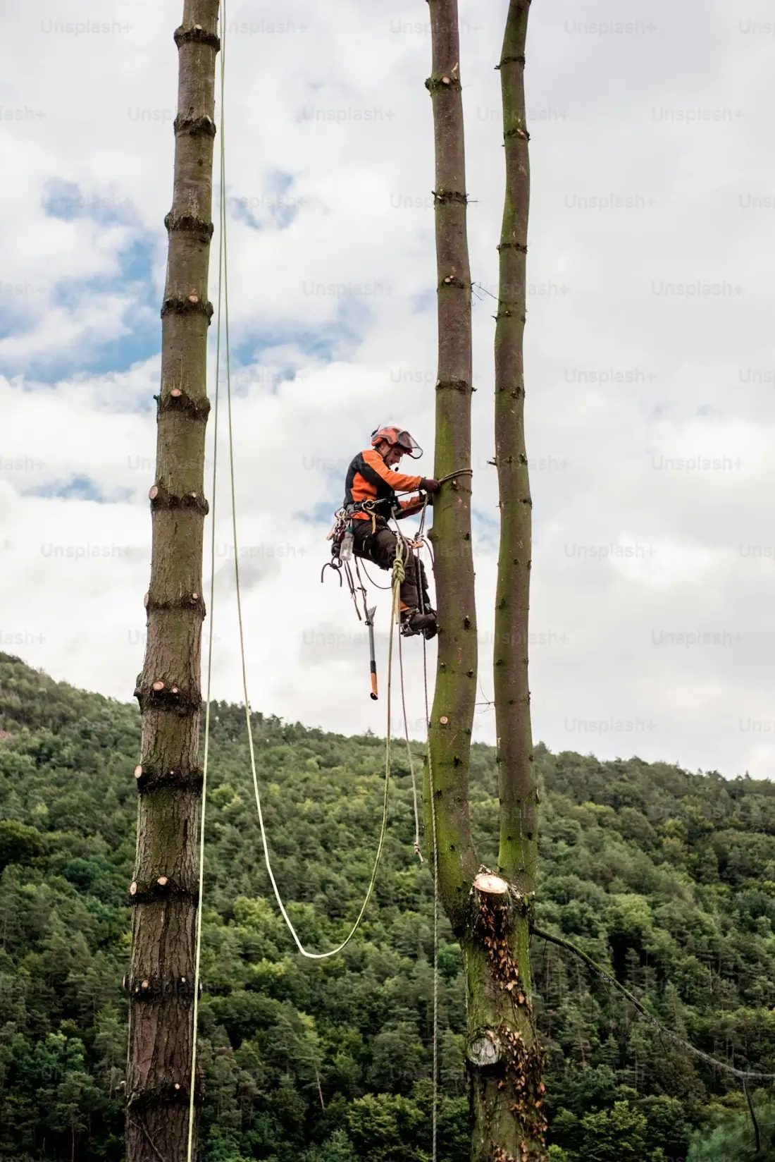 Working at Height